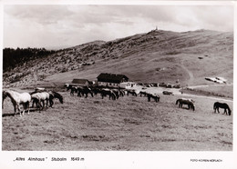 1966, Österreich, Stubalm,  Altes Almhaus, Weststeiermark - Maria Lankowitz