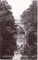 1965, Österreich, Laxenburg, Römerbrücke Im Schlosspark - Laxenburg