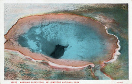 MORNING GLORY POOL - YELLOWSTONE NATIONAL PARK - Yellowstone