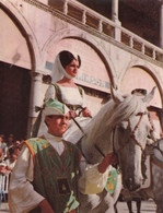 Faenza - Il Palio - Costumi - Cavalli - Formato Grande Non Viaggiata – FE390 - Faenza