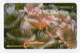 DOMINIQUE REF MV CARDS DOM-9G EC $20 Année 1995 CN 9CDMG Feather Duster Worm - Dominica