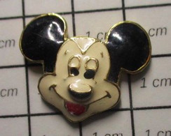 1215a Pin's Pins / Beau Et Rare / THEME DISNEY / TETE DE MICKEY EN RELIEF - Disney