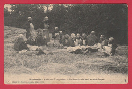 Westmalle -Abdij Der Trappisten - De Broeders In Rust Na Den Oogst  -1911( Verso Zien ) - Malle