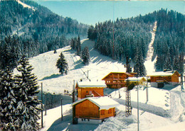 CPSM Saint Pierre D'Entremont-Le Planolet-Les Pistes De Ski        L1300 - Saint-Pierre-d'Entremont