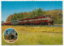 CPM - AUSTRALIE - "The New Ghan" Inset Is Memorial To Afghan Camel Drivers - Mémorial Pour Les Chameliers Afghans - Trains