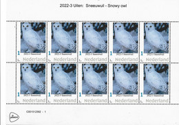 Nederland  2022-3  Uilen Owls : Sneeuwuil  Snowy Owl    Vel-sheetlet   Postfris/mnh/neuf - Ungebraucht