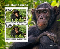 Burundi 2022, Animals, Monkey IV, Block - 2020-...: Nieuw/plakker