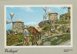 Portugal & Marcofilia, Esposende, Beekeeper And Old Windmills, Schiedam  Netherlands 1995 (138) - Invasi D'acqua & Impianti Eolici