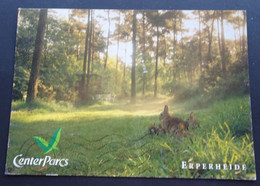 Erperheide - Center Parcs - Peer