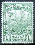 TERRA NOVA	-	Yv. 100	-			TER-6922 B - 1857-1861