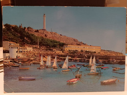 Cartolina Santa Maria Di Leuca  Frazione Di Castrignano Del Capo In Provincia Di Lecce Barche A Vela , Faro - Lecce