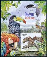Imperf, Spotted Owl, Toucan, Sea Eagle, Environment Protection, Birds, Burundi 2012 MNH MS - Coucous, Touracos