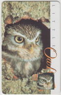 SOUTH AFRICA - Little Owl , 15 R, MTN Card, Used - South Africa