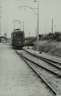 Reproduction - HAGONDANGE - Tramway  - La Vie Du Rail, Repro - Treni