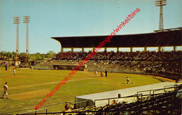 Tampa - Lopez Baseball Field - Florida - United States - Baseball - Tampa