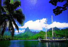 ► POLYNESIE FRANCAISE -  Baie Opunohu Bay In Moorea -  Bateau De Plaisance - Polynésie Française