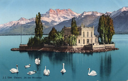 SUISSE,HELVETIA,SWISS,SCHWEIZ,SVIZZERA,SWITZERLAND ,ile Aux Mouettes,ile De Salagnon,montreux,clarens ,lac Léman,rare - Montreux