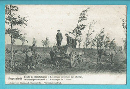 * Ruiselede - Ruysselede * (Uitgever Standaert) école De Bienfaisance, élèves Travaillant Aux Champs, Attelage Cheval - Ruiselede