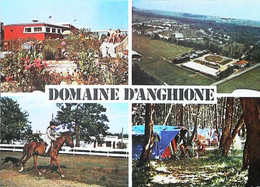 ►  CORSE  Equitation Cheval - DOMAINE D'ANGHIONE Castellare  Di Casinca - Horses