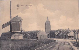 Peer - De Molen - Moulin - Pas Circulé - TBE - Peer