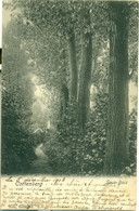 Kortenberg : Sous-Bois : 1903 !! - Kortenberg