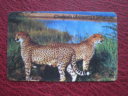 Chip Phonecard,Cheetahs, Used - Namibia