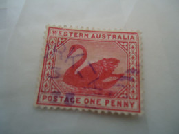 WESTERN   AUSTRALIA   USED STAMPS  BIRD BIRDS  SWAN - Otros & Sin Clasificación