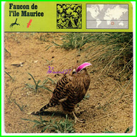 Fiche Illustrée " FAUCON DE L'ILE MAURICE " Rapace Eagle Oiseau Bird - 1978 Editions Rencontre Lausanne - Animali