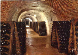 Carte Postale 51 (Marne) Epernay - Champagne Perrier-Jouët - Vue Des Caves. Bouteilles En Cours De Remuage Sur Pupitre - Alcools