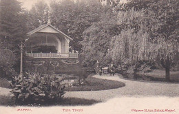 4849119Meppel, Tuin Tivoli. 1903. - Meppel