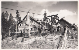 AK - NÖ - Puchberg Am Schneeberg - Alte Sessellift Auf Den Himberg - 1955 - Schneeberggebiet