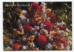 AK 040259 AUSTRALIA - Wildflowers - Autres & Non Classés