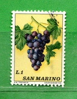 SAN MARINO ° 1973 - FRUTTA . Unif. 882  . Usati - Used Stamps