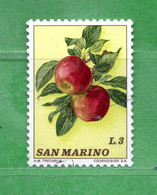 SAN MARINO ° 1973 - FRUTTA . Unif. 884  . Usati - Gebraucht