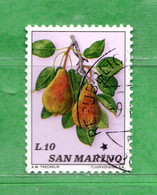 SAN MARINO ° 1973 - FRUTTA . Unif. 887  . Usati - Used Stamps