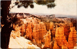 Utah Bryce Canyon Fairyland - Bryce Canyon