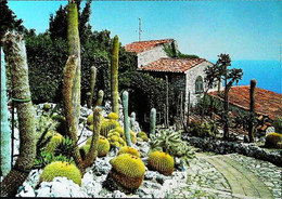 ► CACTUS - EZE VILLAGE (France) - Cactus