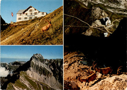 Berggasthaus Rotsteinpass - Weissbad - 3 Bilder (1112) - Weissbad 