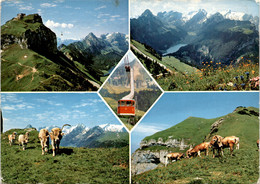 Luftseilbahn Brülisau-Hoher Kasten - 5 Bilder (33998) * 24. 9. 1969 - Other & Unclassified