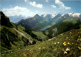 Alvier, Stauberen, Kreuzberge, Altmann, Rotsteinpass U. Säntis (33995) * 18. 6. 1979 - Other & Unclassified