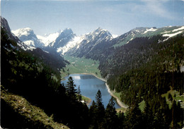 Blick Auf Sämtisersee Mit Roslenfirst (34579) * 30. 11. 1986 - Altri & Non Classificati