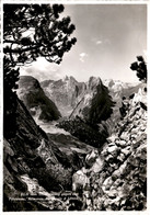 Blick Vom Staubernweg Gegen Den Fählensee, Altmann, Hundstein & Säntis (9465) * 1939 - Altri & Non Classificati