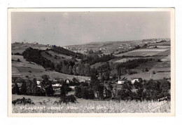 St-Laurent-d'Oingt Canton Le Bois-d'Oingt La Gare The Train Station Rhône 69620 Cpsm Noir Et Blanc Glacée Voyagée 1954 - Autres & Non Classés