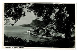 Ref 1528 - Real Photo Postcard - Esplanade - St Georges Grenada - West Indies - Grenada