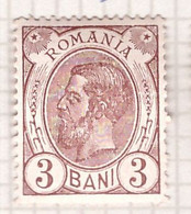 PIA - ROMANIA  - 1893-94 :25° Anniversario Del Regno Di  Re  Carlo  1°   - (Yv   101) - Nuovi