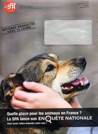 Pap Reponse Yseultyz Societe Protectrice Animaux SPA  + Destineo Theme Chien Grand Format - Prêts-à-poster:reply