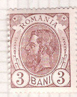 PIA - ROMANIA  - 1893-94 :25° Anniversario Del Regno Di  Re  Carlo  1°   - (Yv   99) - Nuovi