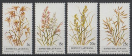 1981 Bophuthatatswana Indigenous Herbs (1) MNH** Ab110 - Groenten