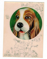 Carte 3D Clin D'Oeil Chiens Chien Dog Winking Dog En TB.Etat - Hunde