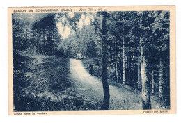 Région Des Echarmeaux Route Dans La Verdure Altit. 750 à 970 M. - Rhône 69 - Cp Tardive Bleutée En B.Etat - Autres & Non Classés